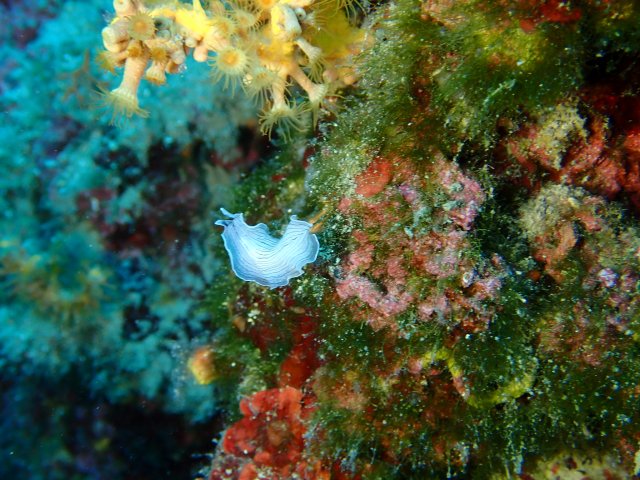 foto 01.06.19 21 00 17